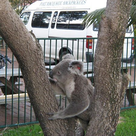 Port Macquarie Backpackers Hostel Exterior photo